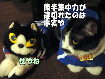 b0041182_21154564.jpg