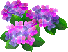 c0015589_16385791.gif