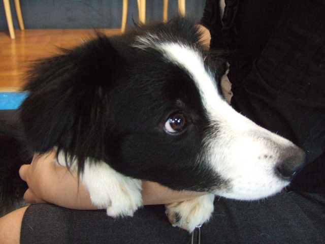 f0054290_1154221.jpg
