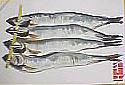f0008597_19282685.jpg