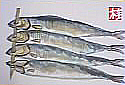f0008597_19285597.jpg