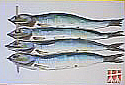 f0008597_1929972.jpg