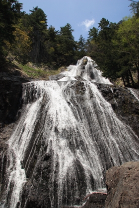 f0034602_2231973.jpg