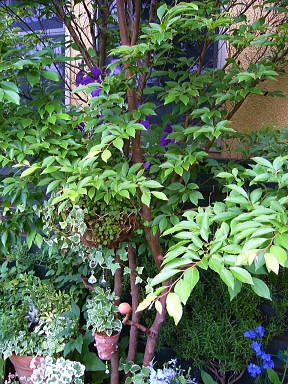 f0065604_21312962.jpg