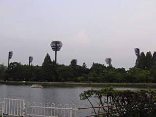 a0024005_2131874.jpg