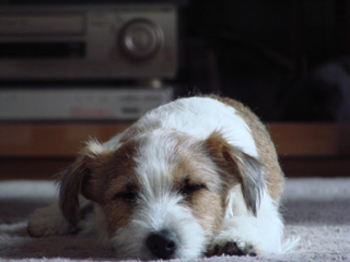 f0080105_7592728.jpg