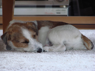 f0080105_811764.jpg