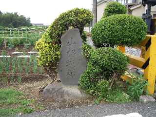 c0051112_1536876.jpg