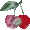 f0065223_17193878.gif