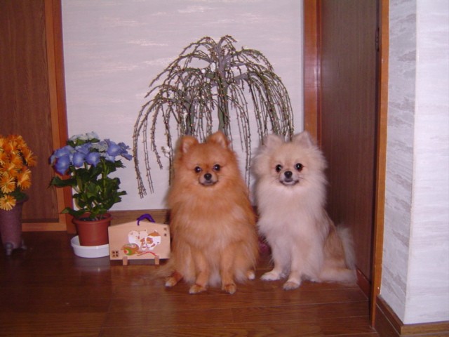 f0012924_257522.jpg