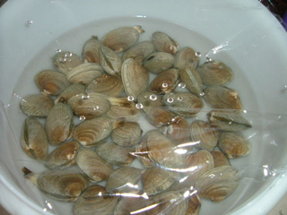 c0018845_5222174.jpg