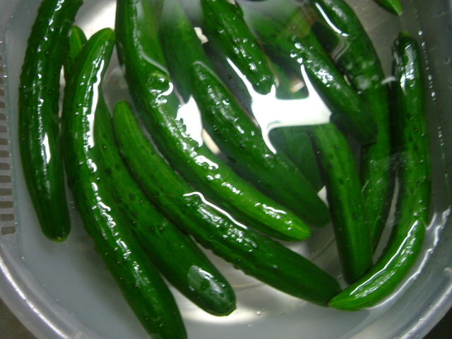 c0018845_5424333.jpg