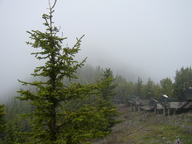 b0058150_6255769.jpg