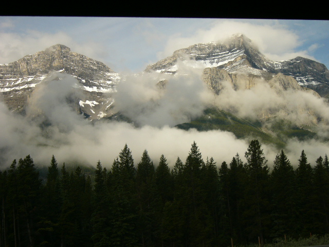 b0058150_630010.jpg
