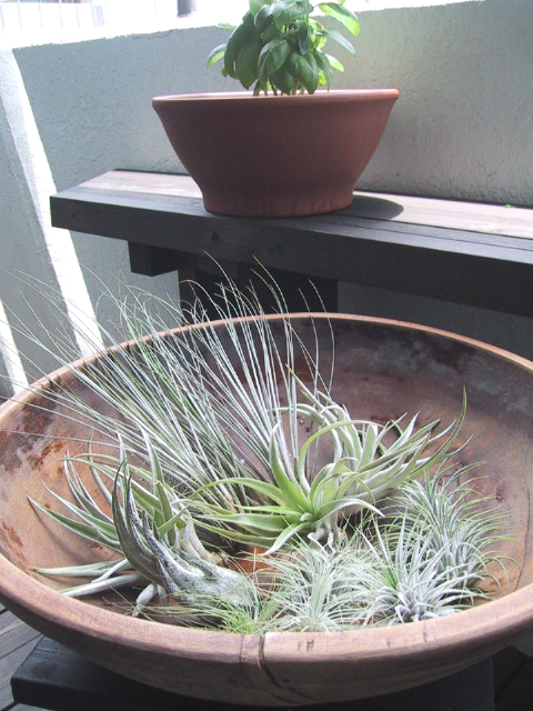 e0090956_2041954.jpg