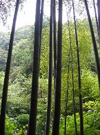 a0065062_1391879.jpg