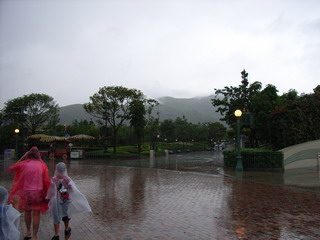a0002177_1257883.jpg
