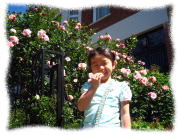 f0060585_172873.jpg