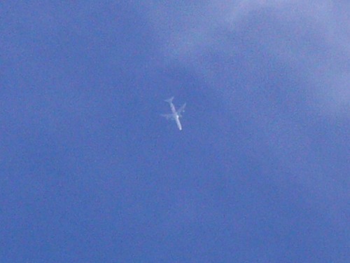 b0080789_19561863.jpg
