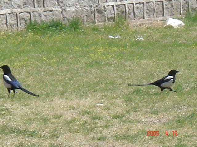 f0091590_218046.jpg