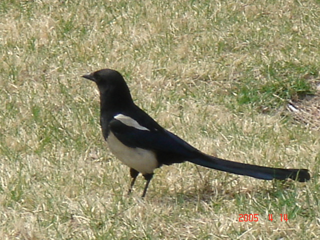 f0091590_2185160.jpg