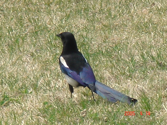 f0091590_2191252.jpg