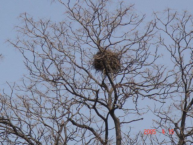 f0091590_2194149.jpg
