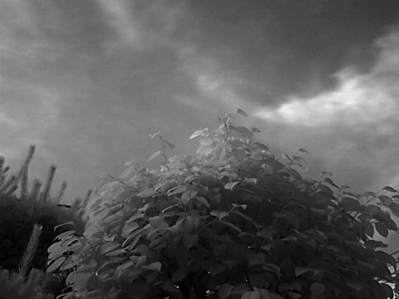 f0002801_0191113.jpg