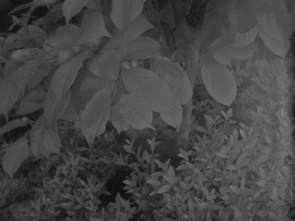 f0002801_094138.jpg