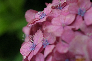 c0039205_2317564.jpg