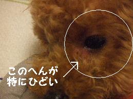 a0007906_950588.jpg