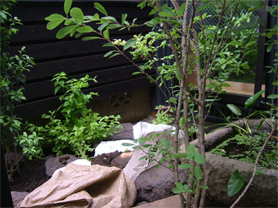 c0022913_135635100.gif