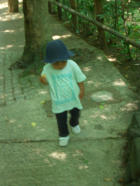 d0064815_1442428.jpg
