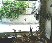 b0019820_1255967.jpg