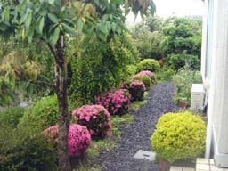 e0083820_2312222.jpg