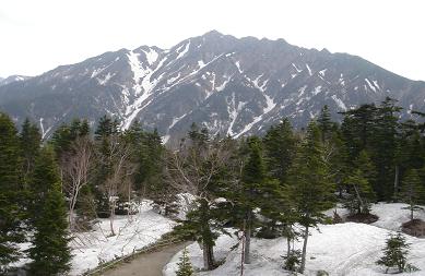 f0000521_9151540.jpg