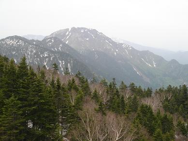 f0000521_942186.jpg