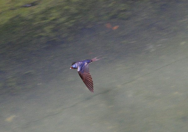 f0031423_2142014.jpg