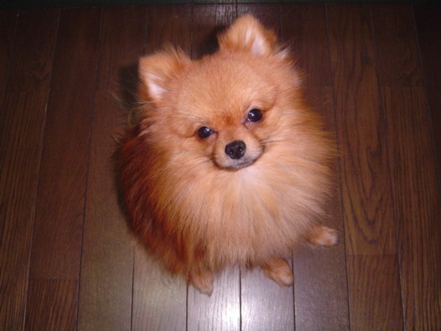 f0012924_6171293.jpg