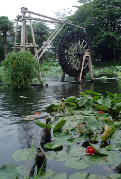 f0060424_1371721.jpg