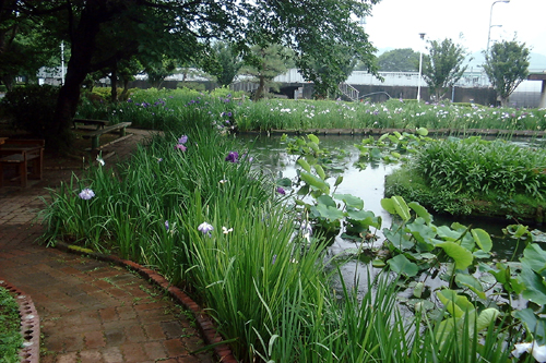 f0060424_138362.jpg