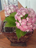 e0094325_23153396.jpg