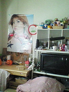 b0085431_161248100.jpg
