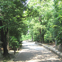 d0033734_14261215.jpg