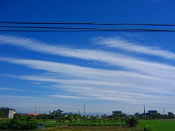 a0034438_10494582.jpg