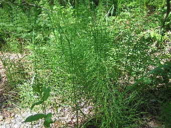 f0051638_19522927.jpg