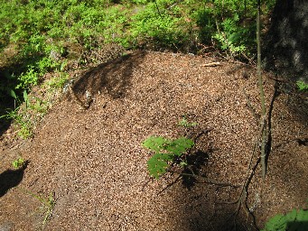 f0051638_20103066.jpg