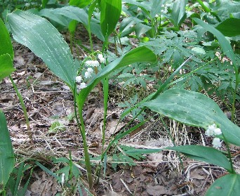 f0051638_2094452.jpg