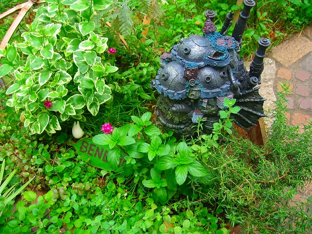 c0029442_0113777.jpg