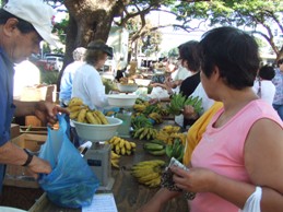 e0015343_943680.jpg